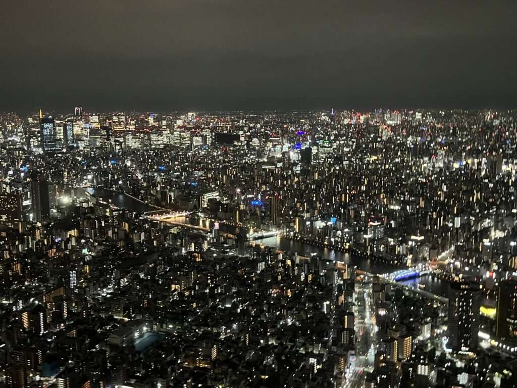 The city of Tokyo, Japan below you completely lit up at night