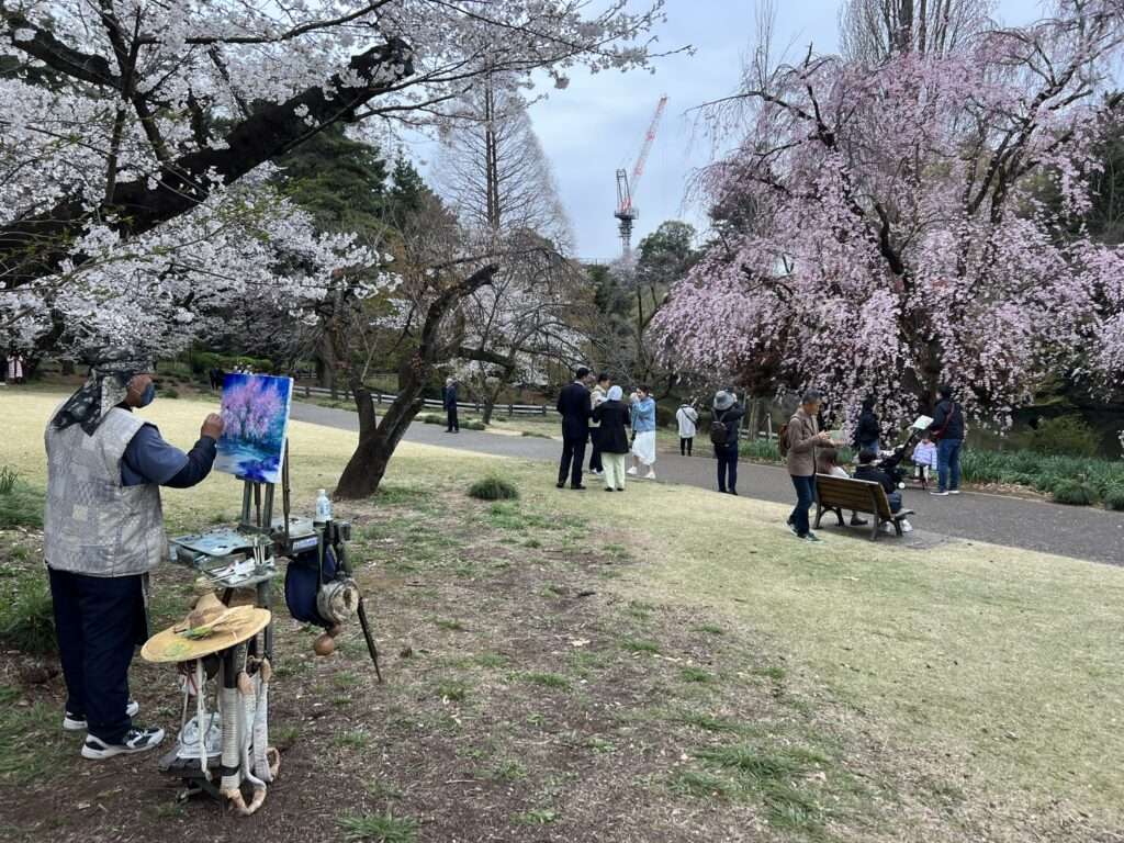 People painting and taking in the cherry blossom trees as they are blooming in a park