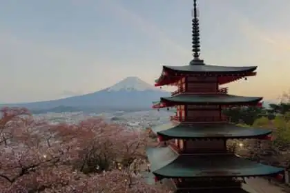 The iconic view of the Chureito Pagoda and Mount Fuji during full sakura bloom
