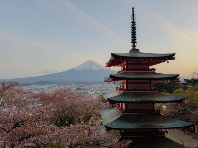 The iconic view of the Chureito Pagoda and Mount Fuji during full sakura bloom