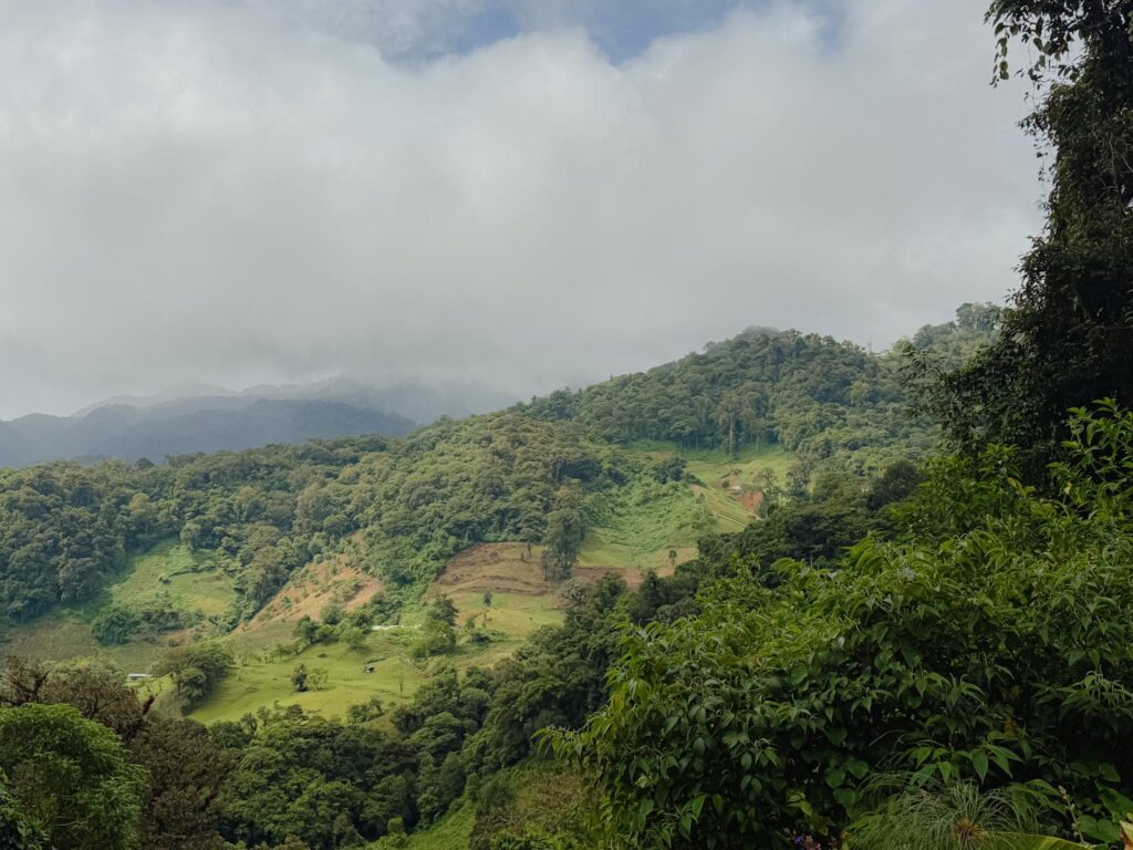 Lush green hillsides and cloud forest outside Boquete, Panama, with low clouds rolling over the mountains and cleared farmland visible in the valley below