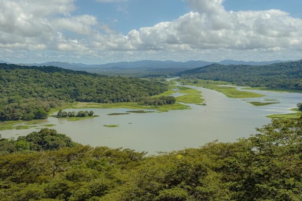 View over the Chagres River and rainforest from Gamboa, Panama