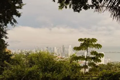 Panama City skyline seen through lush tropical forest on Ancon Hill