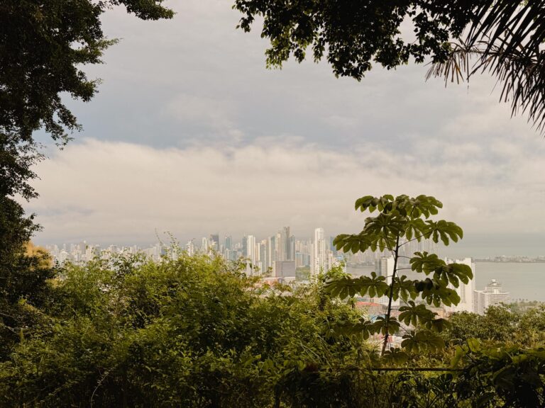 Panama City skyline seen through lush tropical forest on Ancon Hill
