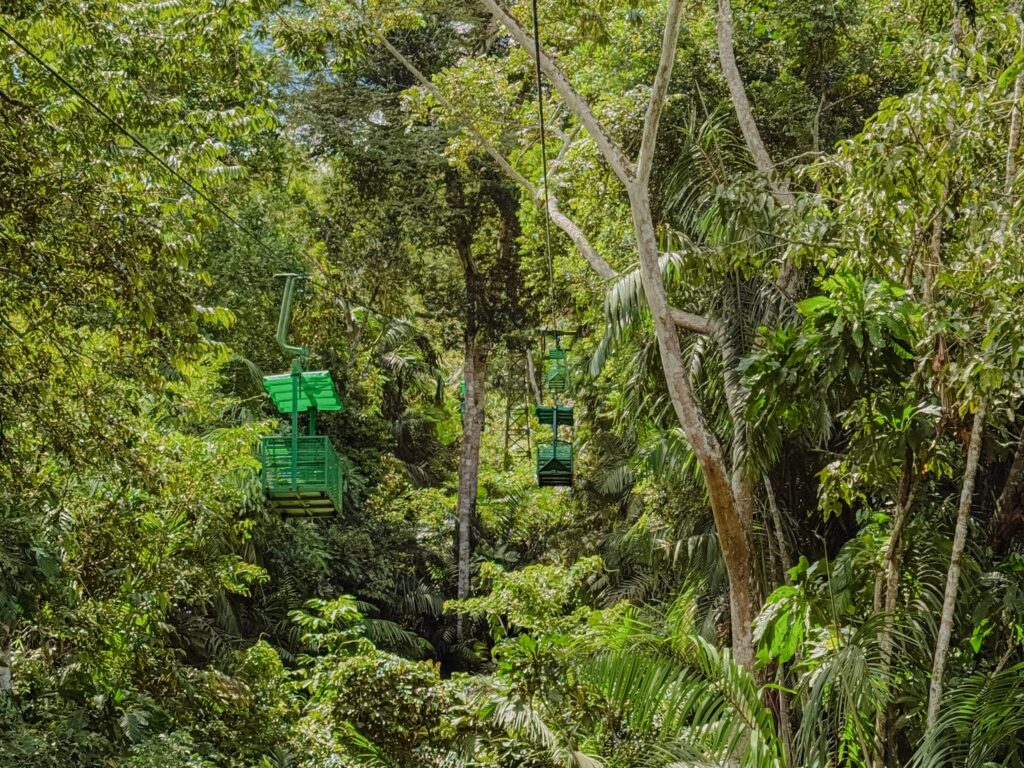 Aerial tram gondolas moving through the tropical rainforest canopy at Gamboa, Panama