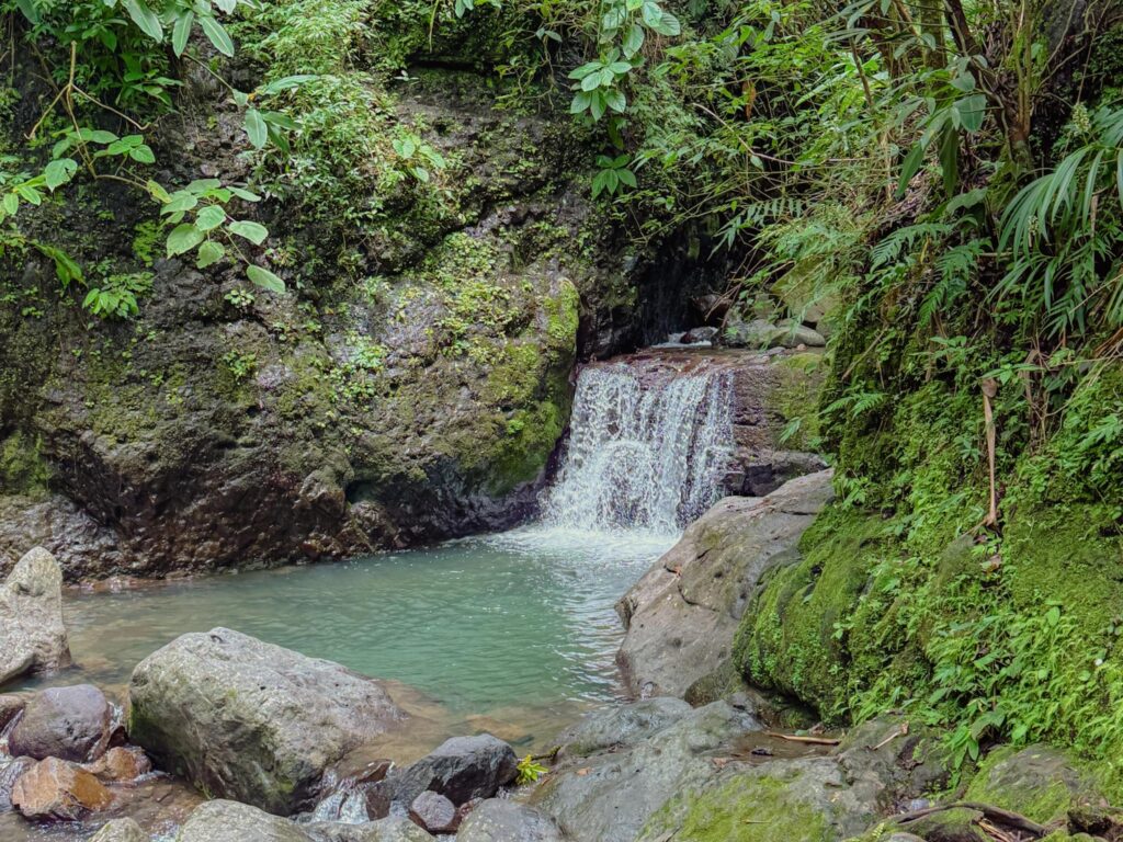 Small waterfall cascading into a natural pool surrounded by mossy rocks and cloud forest vegetation in Valle de Anton, Panama