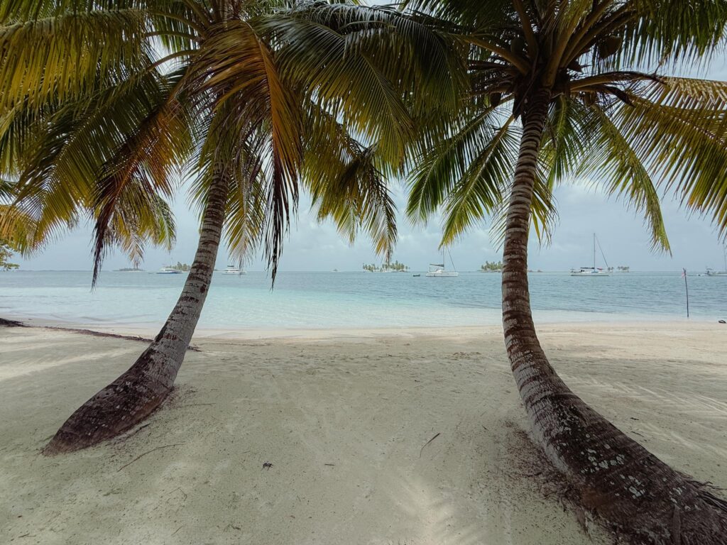 Two palm trees leaning over a white sand beach in the San Blas Islands, with turquoise water and sailboats anchored offshore in Guna Yala