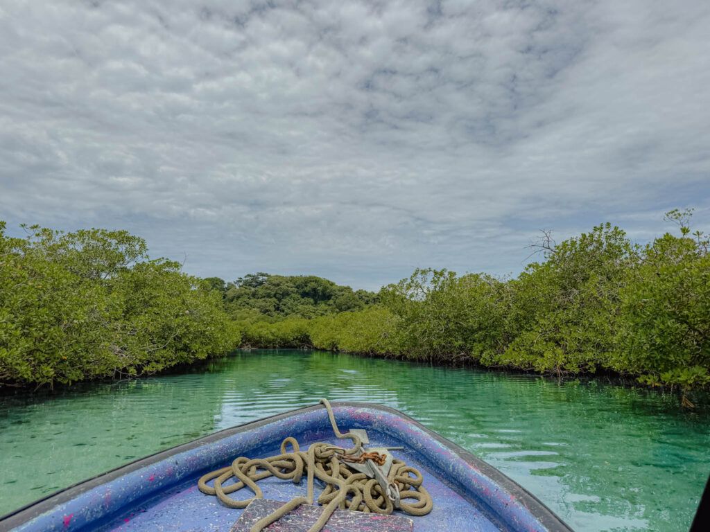 Boat traveling through a narrow mangrove channel with turquoise water near Isla Grande on the Caribbean coast, Panama -- day trips from Panama City