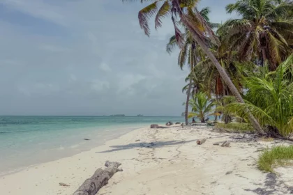 Deserted white sand beach with leaning palm trees and driftwood on a remote San Blas island - San Blas Islands Panama