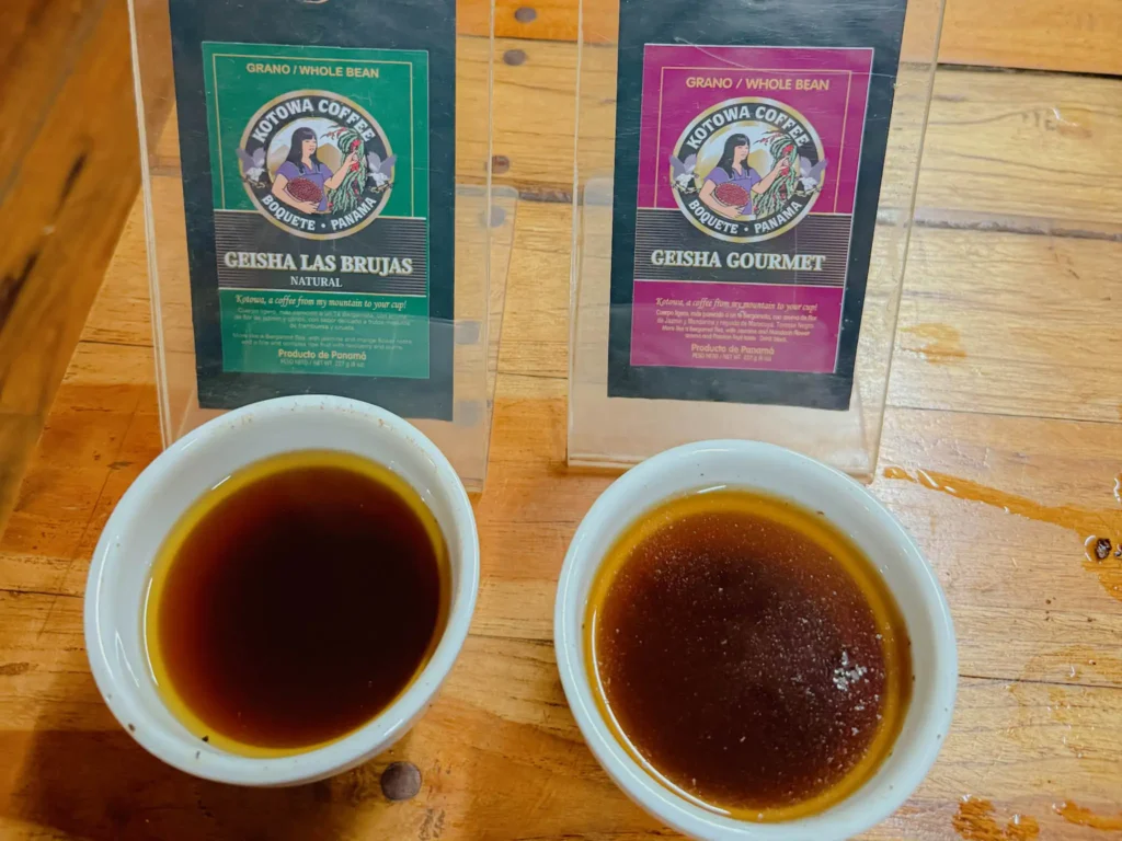 Two bags of Kotowa Geisha coffee from Boquete, Panama, alongside brewed cups showing the color difference between natural and washed processing