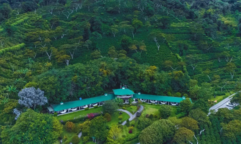 Aerial view of Finca Lerida boutique hotel nestled within a vast coffee plantation and cloud forest in Boquete Panama -- Boquete Panama