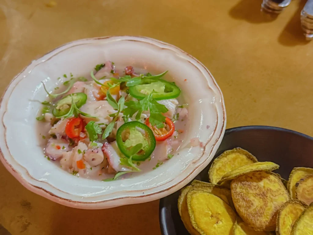 A bowl of Panamanian ceviche with corvina, jalapeño, and herbs served alongside crispy patacones - Panama food guide