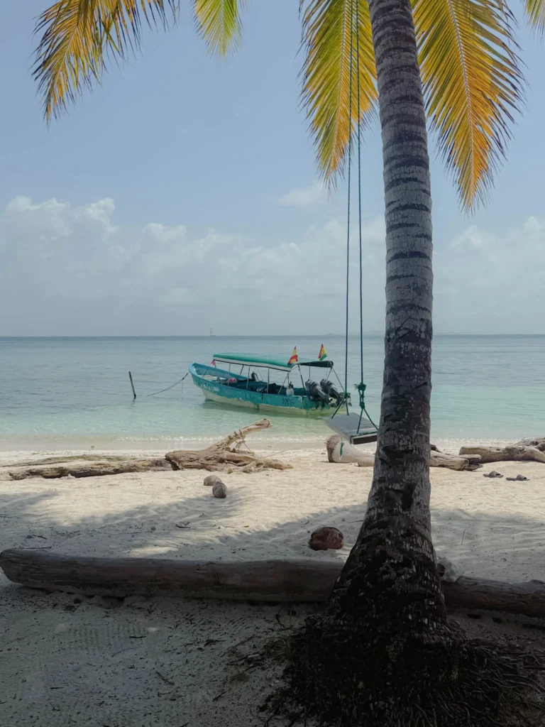 White sand beach with a rope swing hanging from a palm tree and a green motorboat anchored in clear shallow water -- San Blas Islands beach