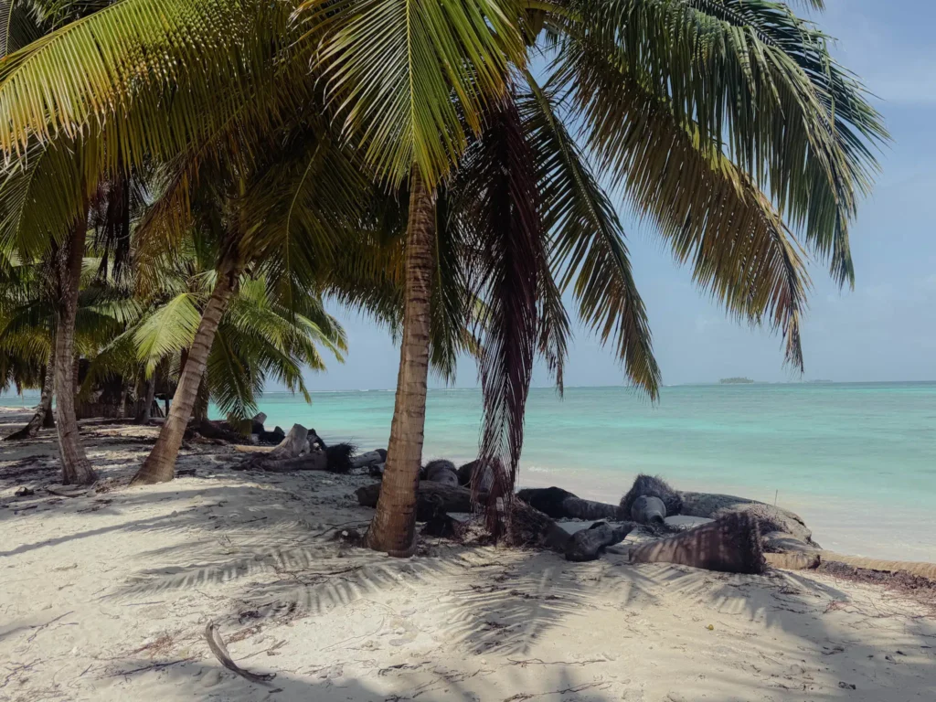 Coconut palms on a white sand beach with turquoise water and a distant island visible through the trees -- best time to visit San Blas Islands