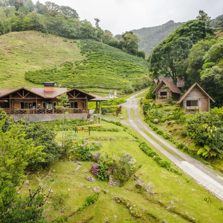 Wooden lodge and guest cabins surrounded by manicured gardens and a terraced coffee plantation at Tree Trek Adventure Park Hotel in Boquete Panama -- Boquete Panama