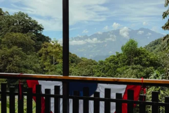 View of Volcan Baru through the cloud forest from the restaurant terrace at Tree Trek in Boquete Panama -- Boquete Panama