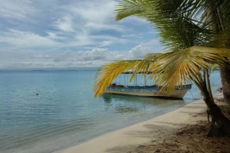 Wooden boat moored under a palm on a calm empty beach in the Bocas del Toro archipelago - 3 days in Bocas del Toro