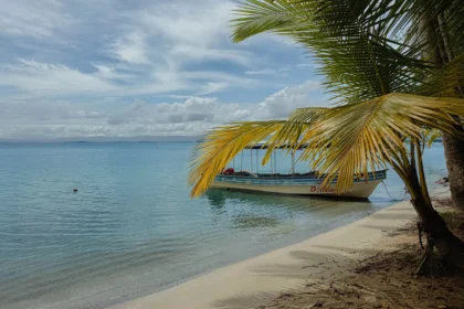Wooden boat moored under a palm on a calm empty beach in the Bocas del Toro archipelago - 3 days in Bocas del Toro