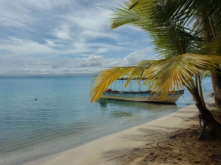 Wooden boat moored under a palm on a calm empty beach in the Bocas del Toro archipelago - 3 days in Bocas del Toro