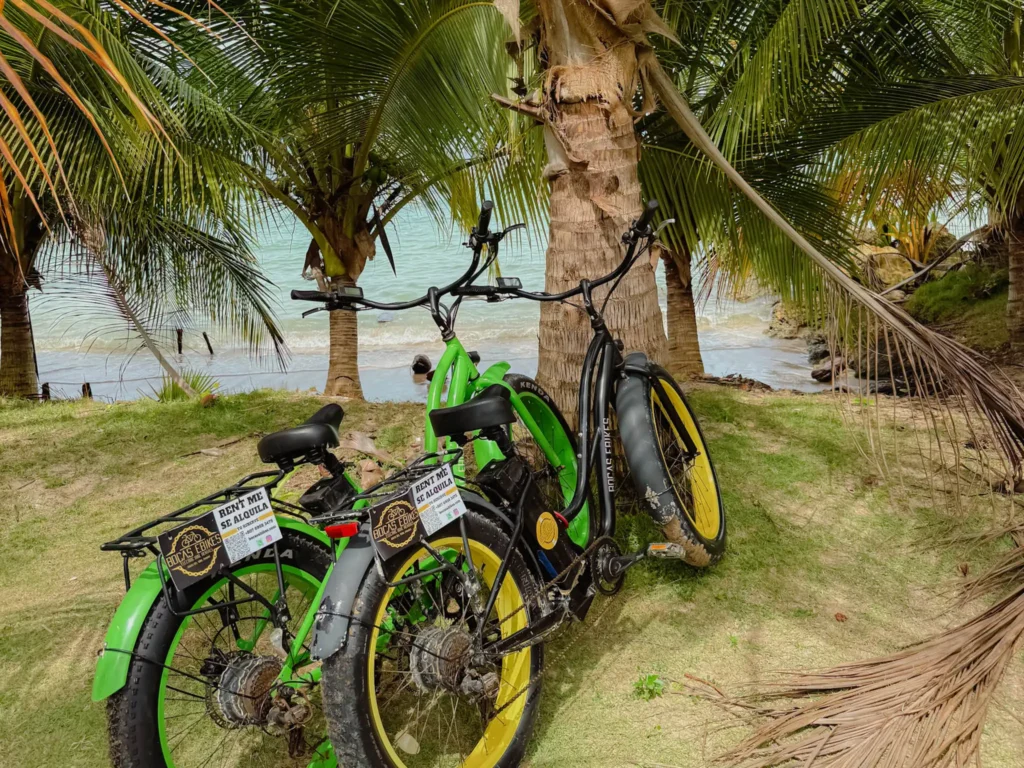 Green Bocas Ebikes rental e-bikes with fat tires parked under palm trees on Isla Colon