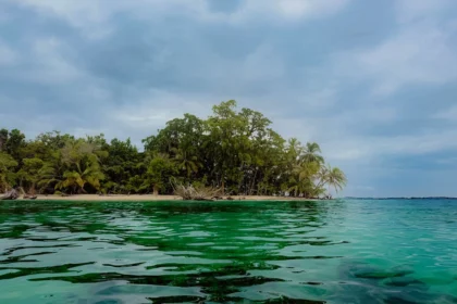 Jungle-covered island and clear green water in Bocas del Toro