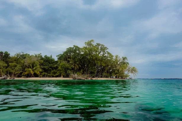 Jungle-covered island and clear green water in Bocas del Toro