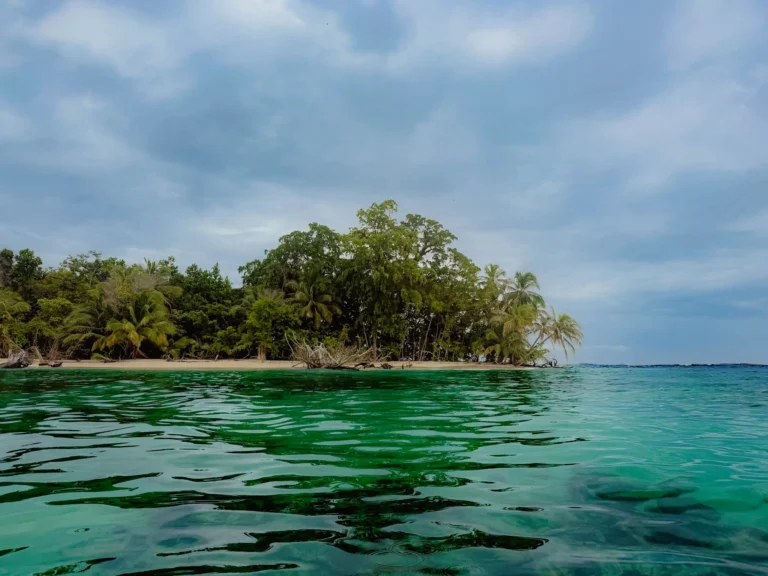 Jungle-covered island and clear green water in Bocas del Toro