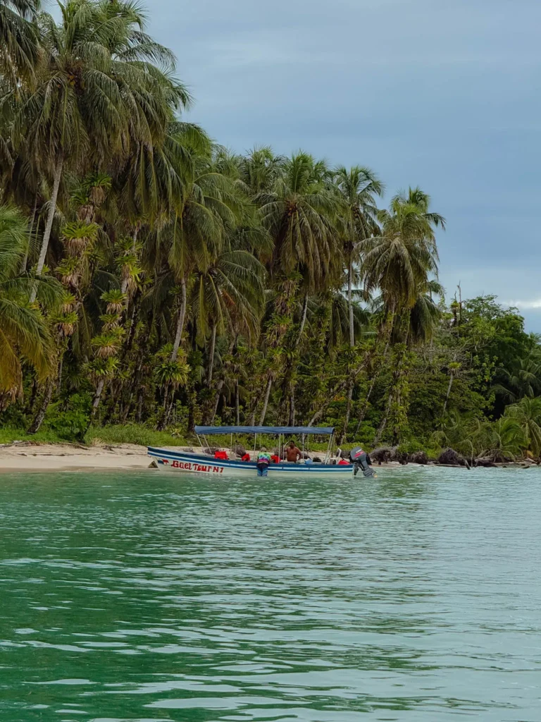 Blue-striped tour boat pulled onto a palm-backed beach on a boat tour in Bocas del Toro