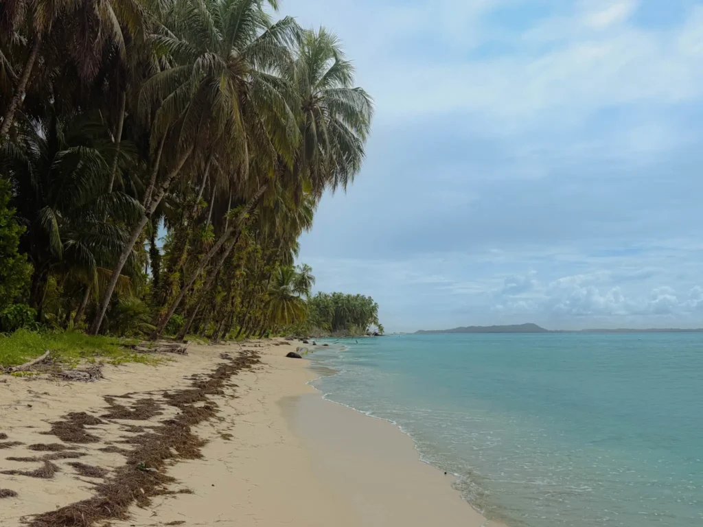 Empty beach with palm trees and calm turquoise water at Cayos Zapatilla in Bocas del Toro National Marine Park