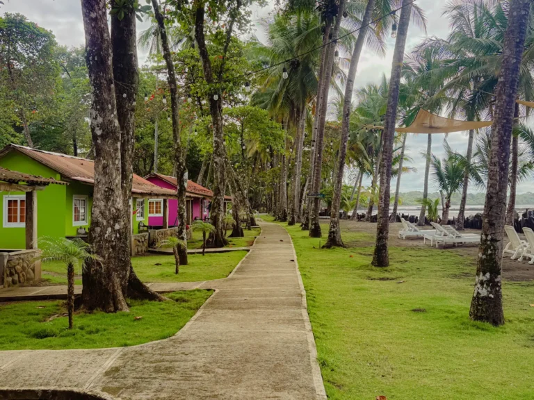 Green and pink beach cabins along a palm lined path at Hotel Oasis and Surf Camp in Santa Catalina, Panama