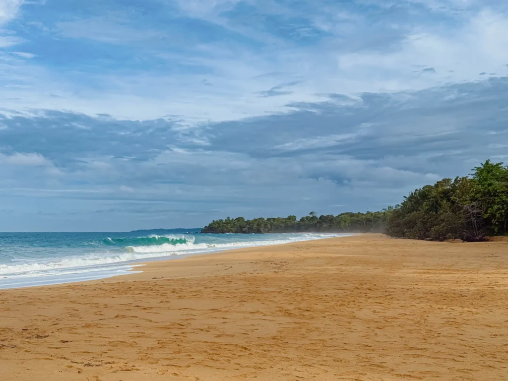 Wide golden sand beach and breaking Caribbean waves at Playa Bluff on Isla Colon, Bocas del Toro