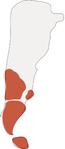 Outline map of Argentina with the Patagonia regions highlighted
