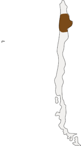 Outline map of Chile with the Atacama Desert region highlighted