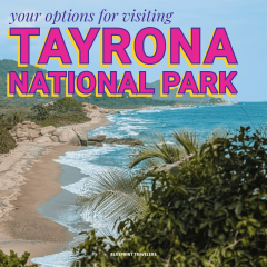 202409_Santa Marta 1-1