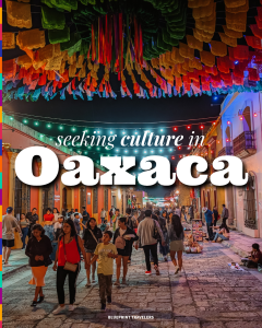 202411_Oaxaca-1