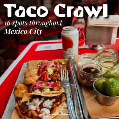 202412_Taco-1