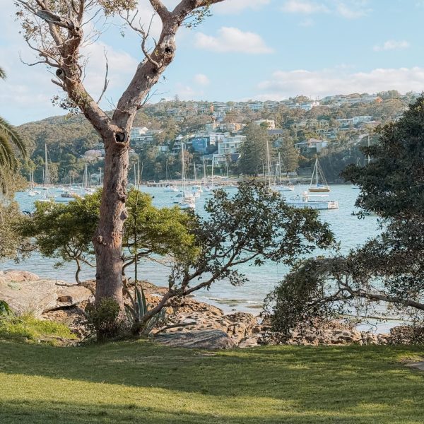 Australia – Sydney-106 View through trees of a harbor with boats docked - top things to do in Sydney