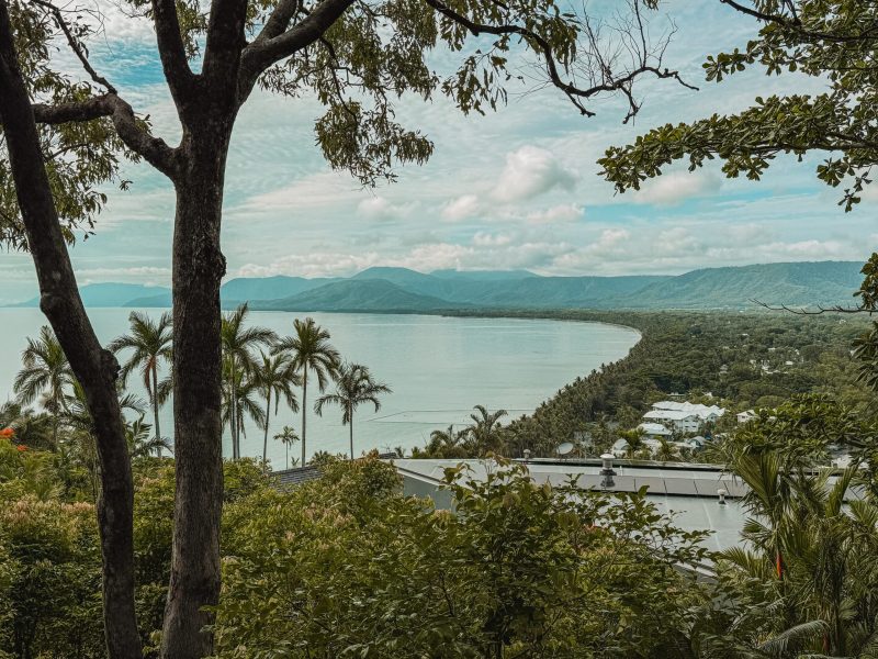 A view of the rainforest meeting the ocean near Cairns