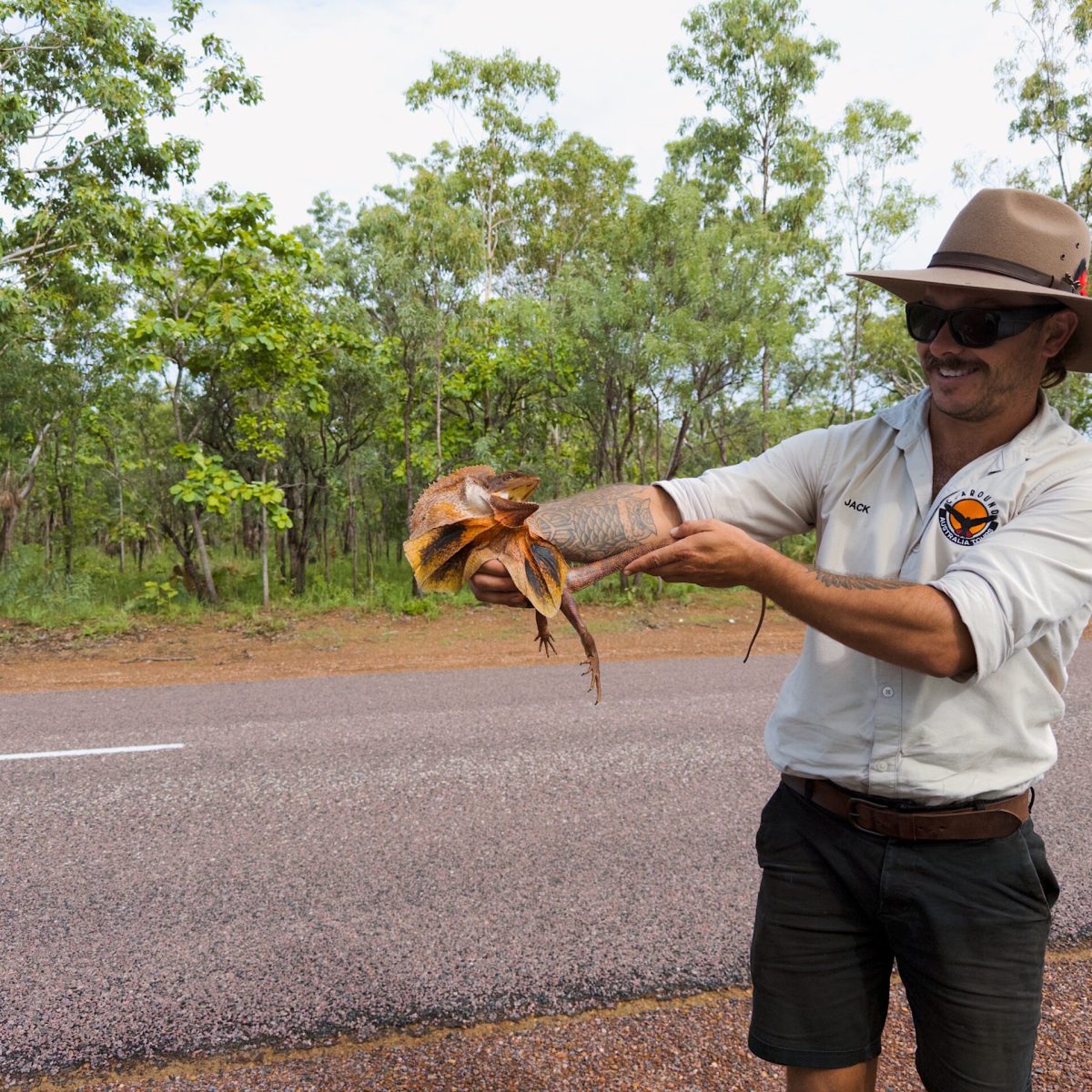 A man holding a lizard on the side of the road - 1 day kakadu tours from Darwin