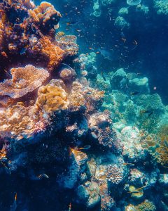 F1B53708-82DB-4FBE-BD22-1756D42B5D8E