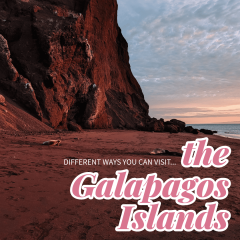 Galapagos-1 (1)