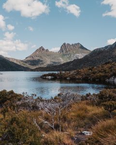 IMG_2783