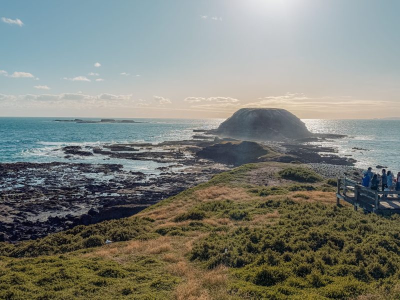 Melbourne - Phillip Island - Australia - 10