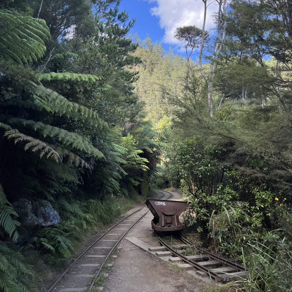 A railroad track going through a walking path in a park outside of Auckland, New Zealand