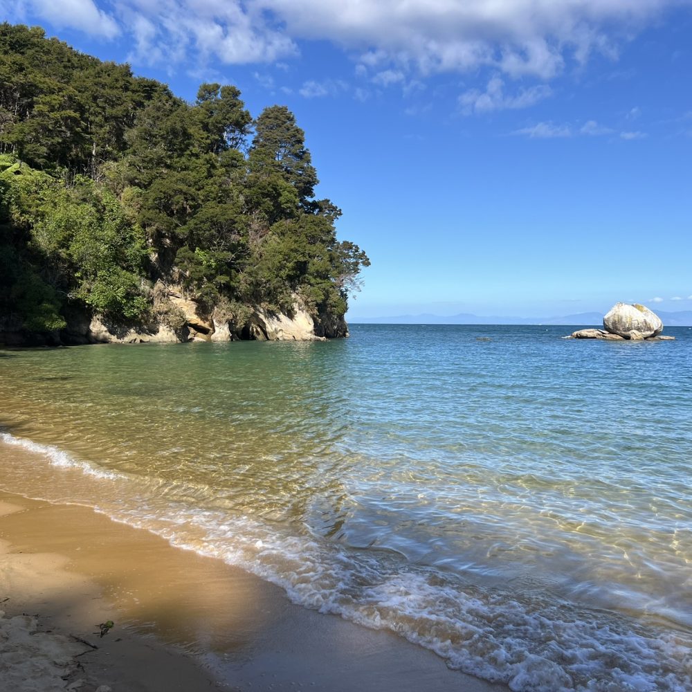 Turquoise water coming on a white sand beach with a tropical forest in the background in Abel Tasman National Park