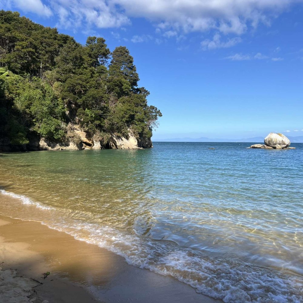 Turquoise water coming on a white sand beach with a tropical forest in the background in Abel Tasman National Park