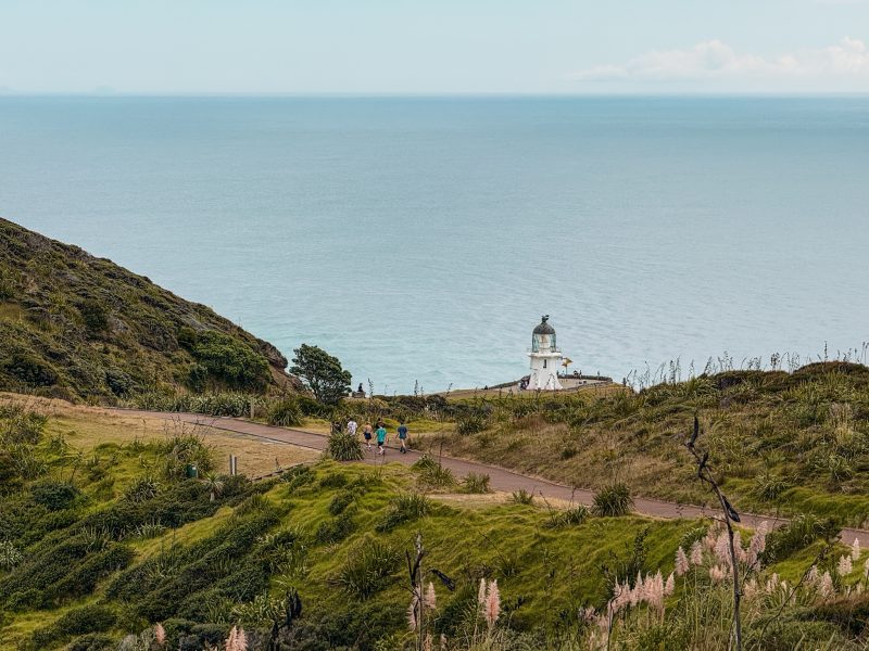 The lighthouse at the very end of New Zealand. You can see the two bodies of water meeting due to their different colors. (It is more apparent in person than in the images but you can still see the slight change in color in the photo)