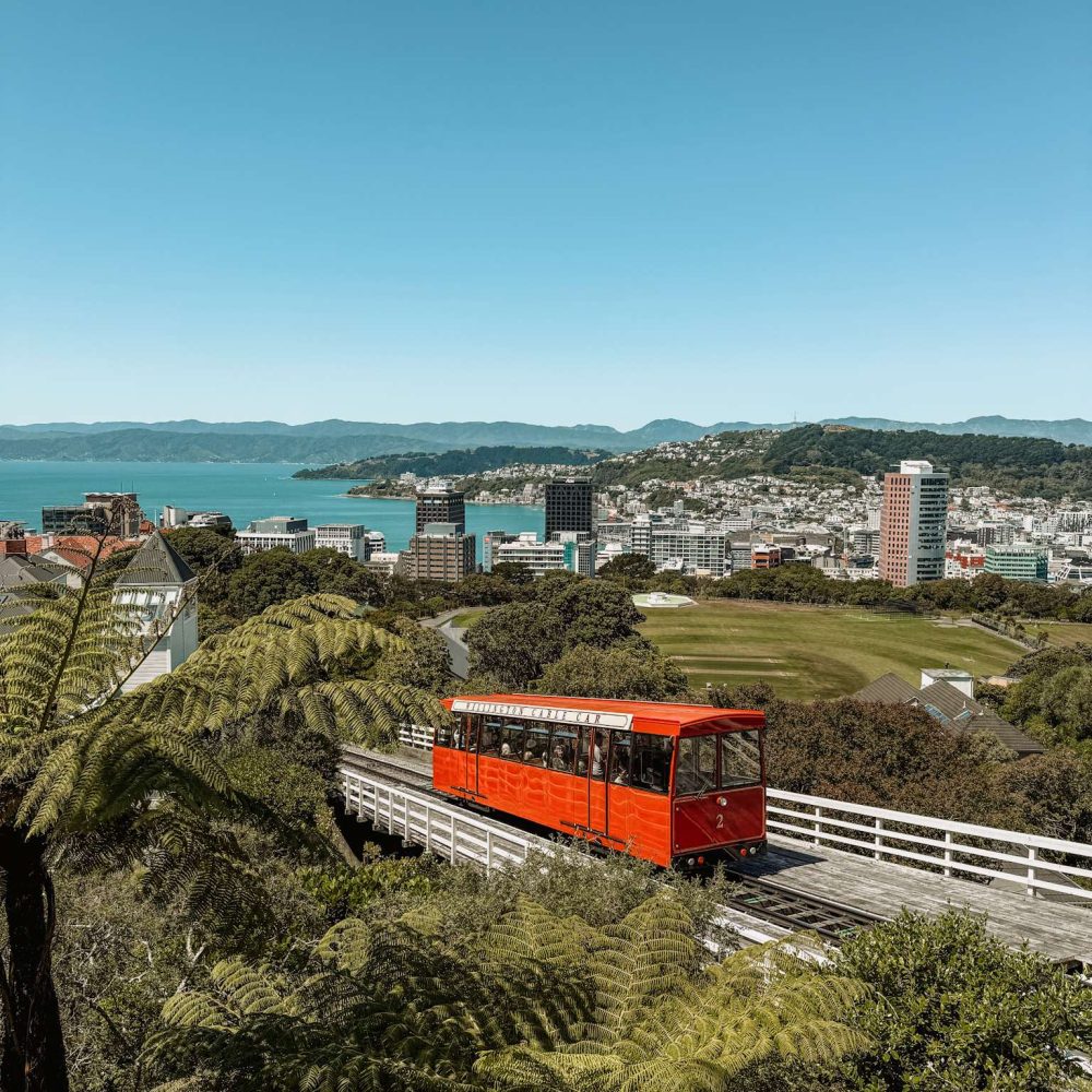 A red cable car going up a hill with a bay in the background - Wellington itinerary