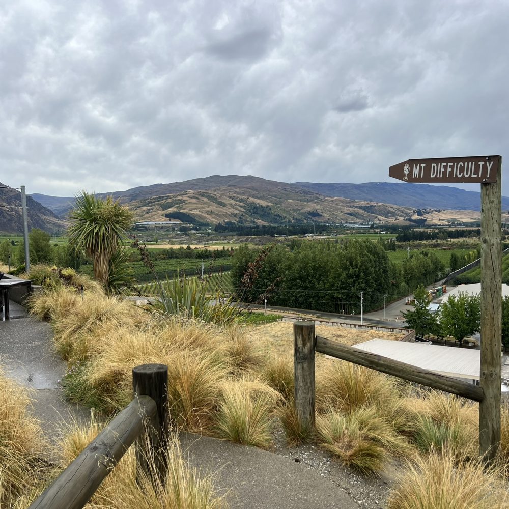 New Zealand-Queenstown-10 A path overlooking vineyards below when visiting Queenstown