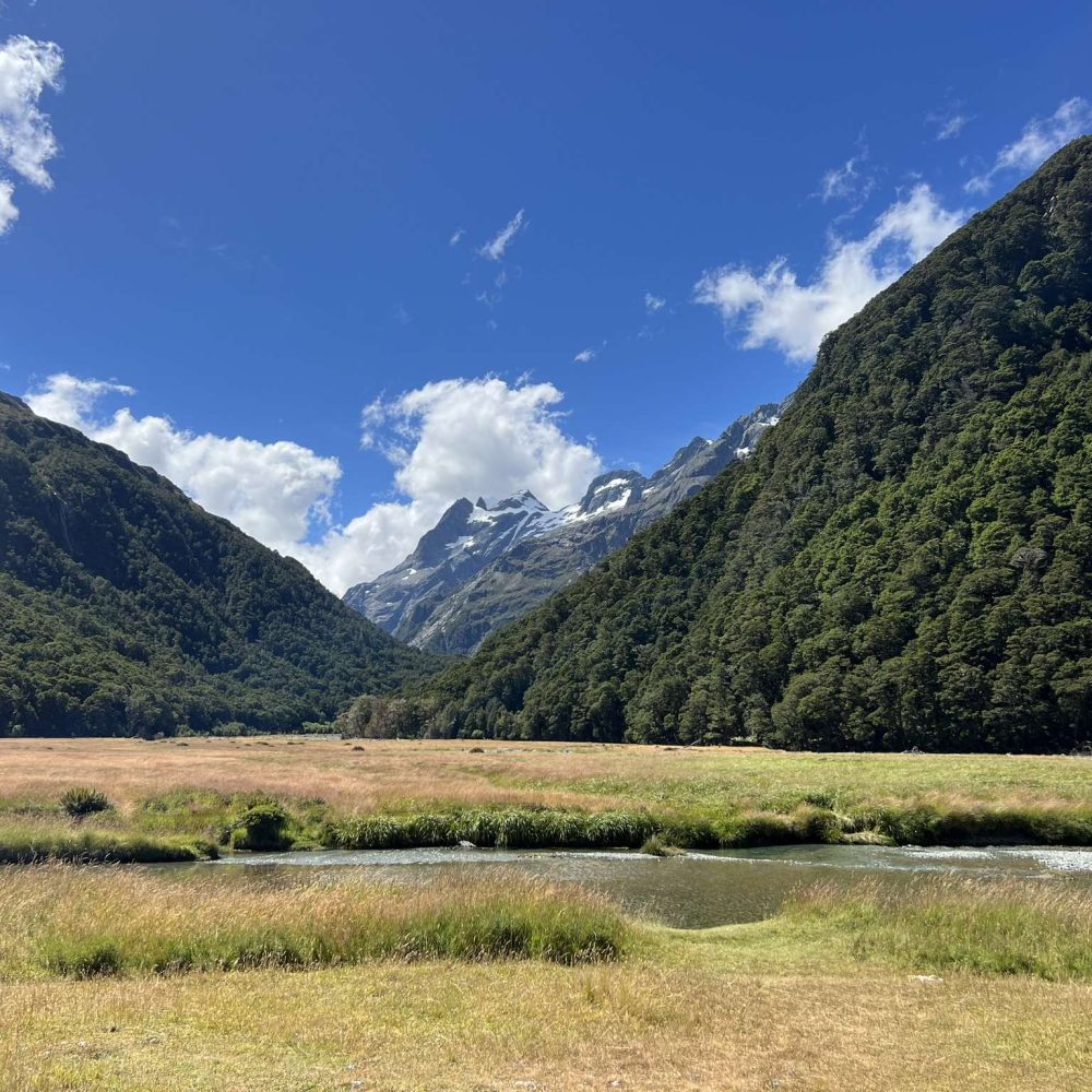A yellow grassy field below some mountains at the end of a hike when visiting Queenstown